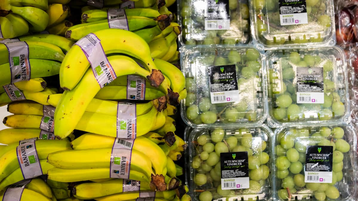 Tidligere S-formand angriber regeringens planer om lavere moms på mad | Politik | DR
