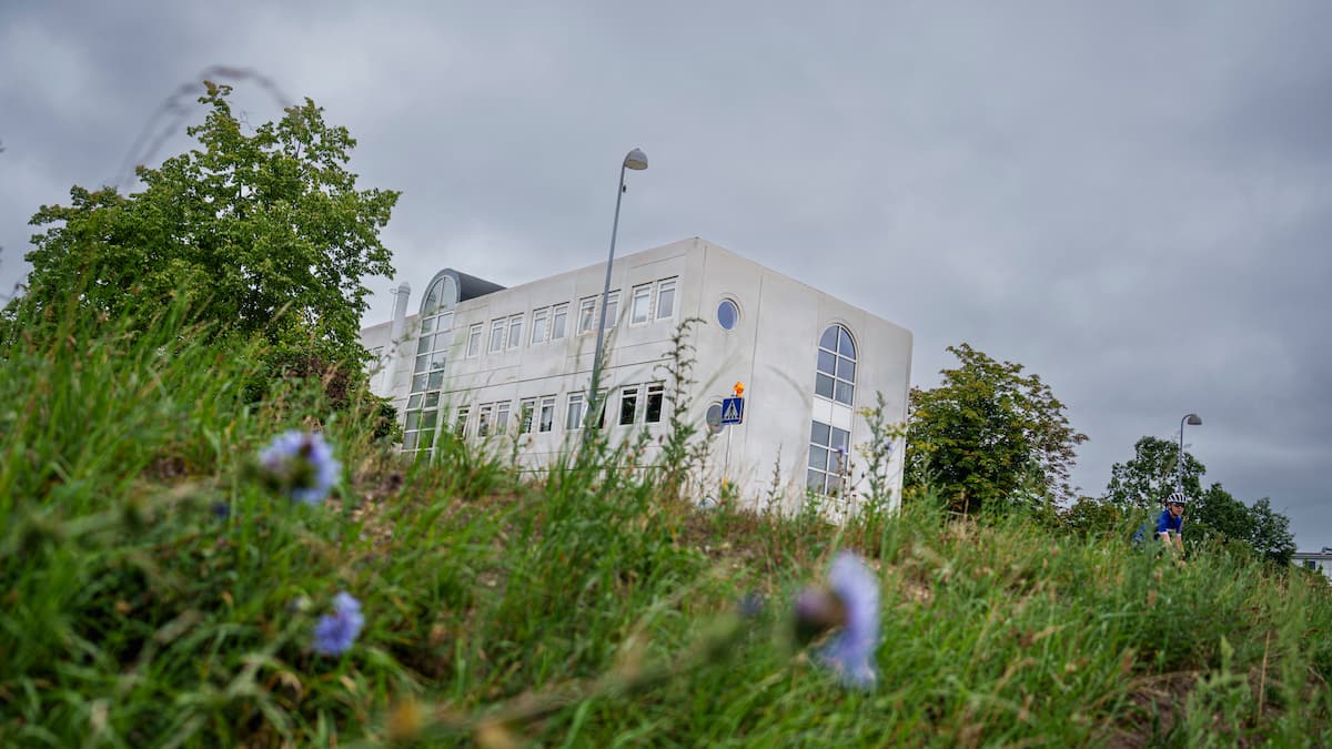 Elselskab har brudt loven ved at flytte kunder uden samtykke, vurderer professor | Penge | DR
