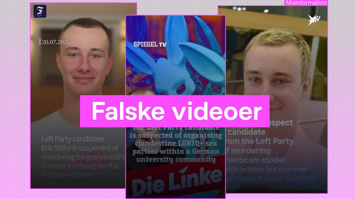 Der er sex, drab og korruption i tysk valgkamp, men er det bare fake news? | Udland | DR
