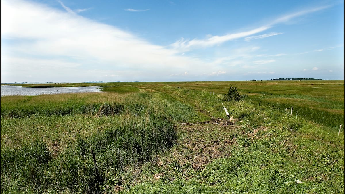 Naturpark i modvind: Lodsejere siger nej til at afgive jord