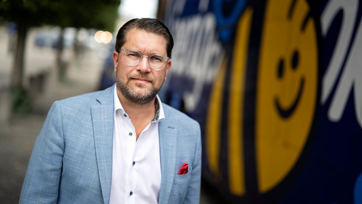 Ansat hos Sverigedemokraterne anklages for at sprede prorussisk propaganda, men partileder ser 'ingen grund til panik' | Udland | DR