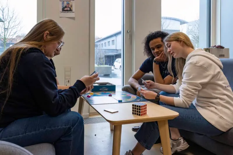 Brætspil med aftensmad sammen med IDA × RIA