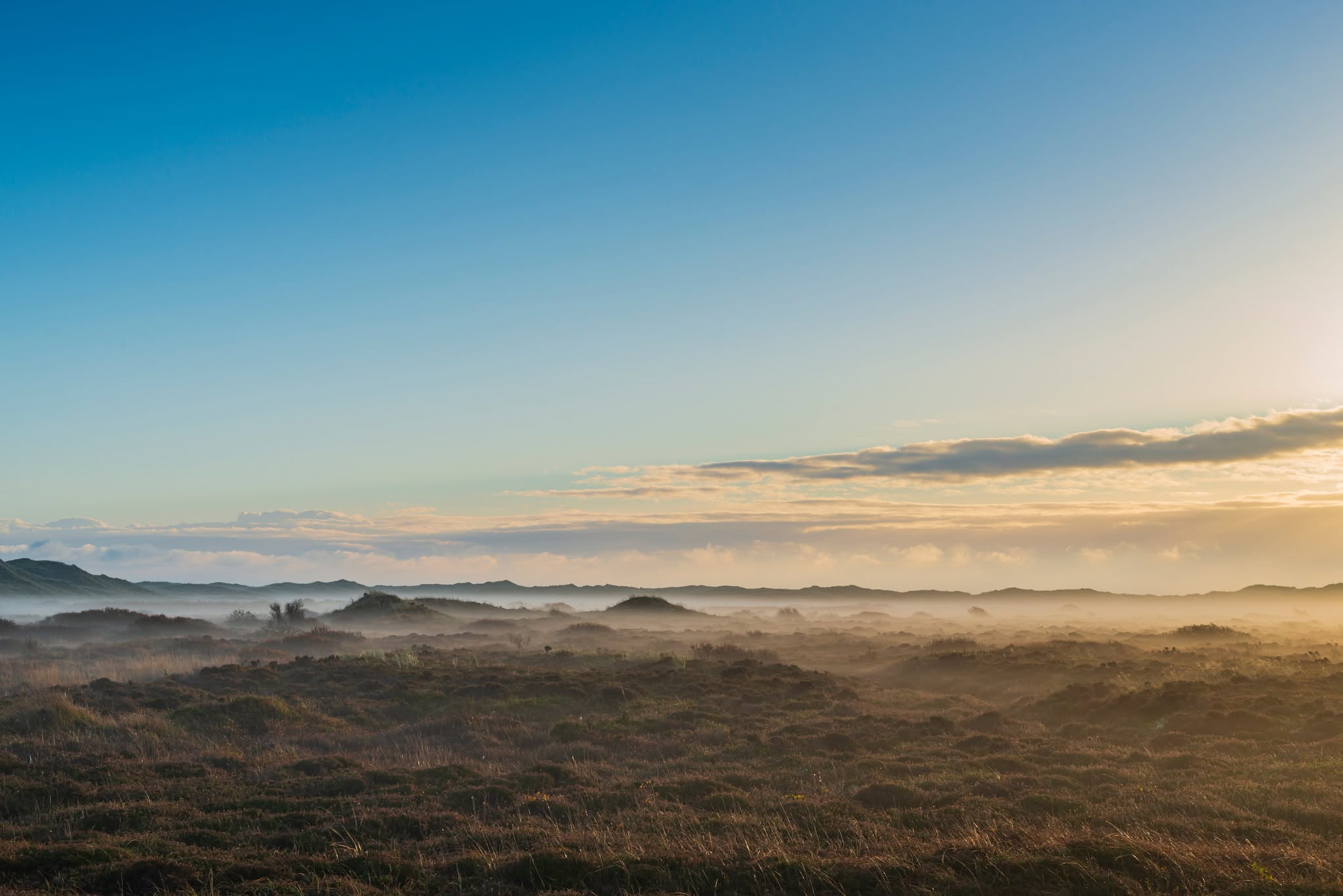 Morgensang i Skagen