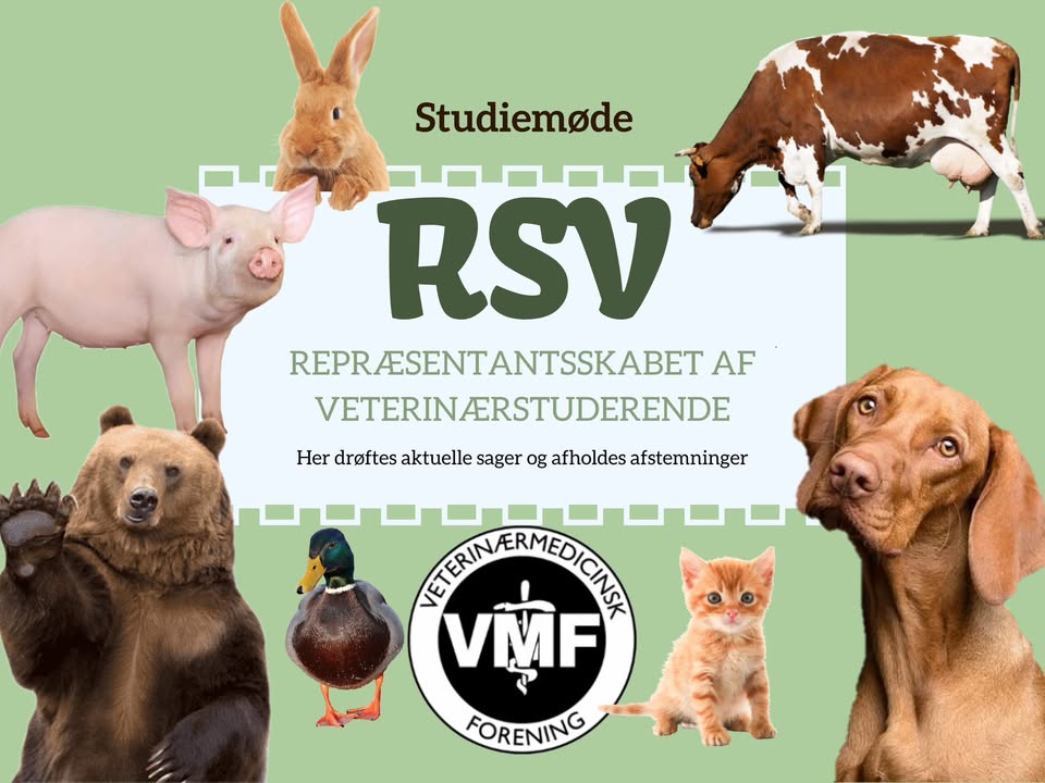 RSV / Studiemøde i Blok 1