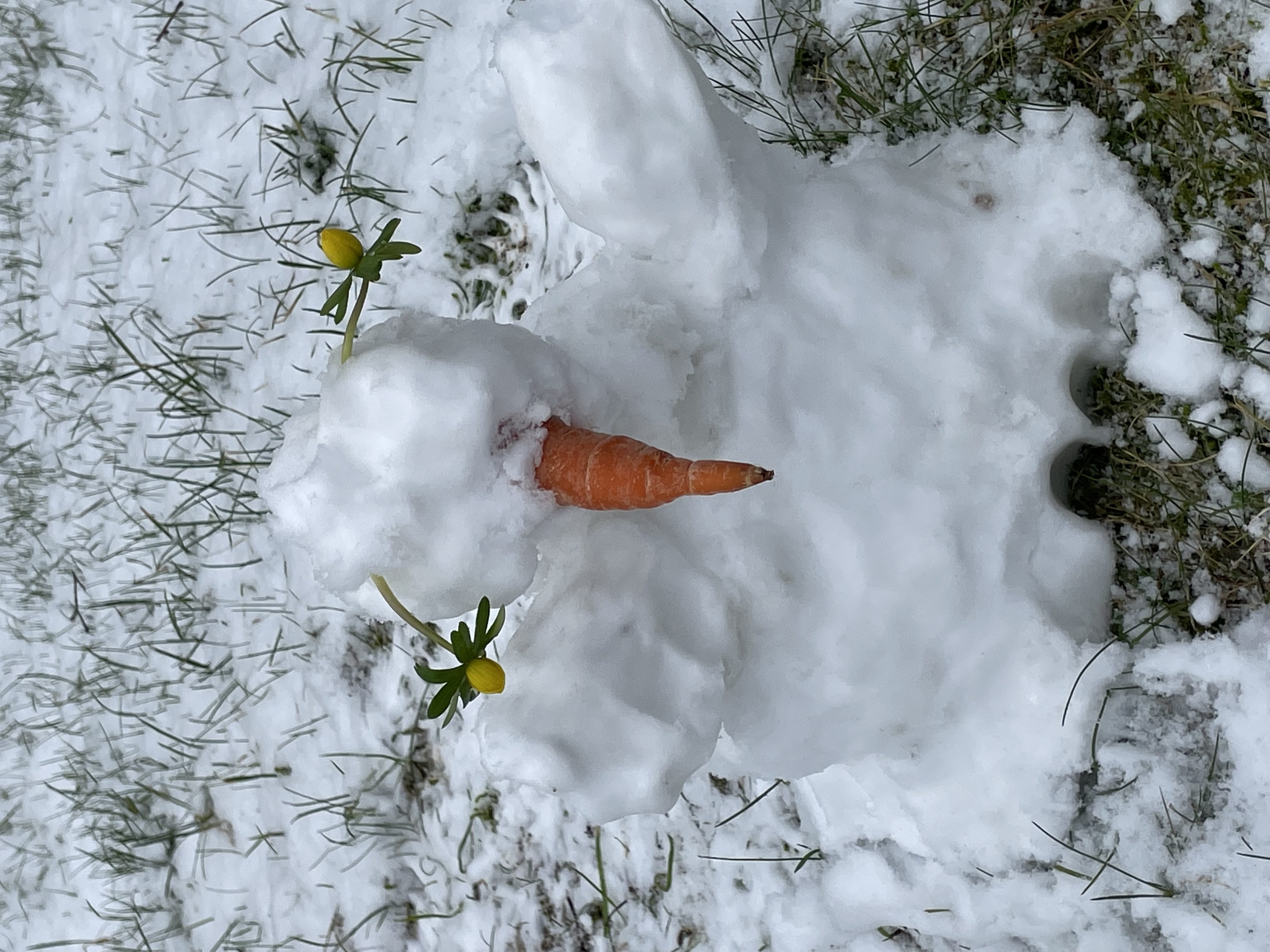 Klimaspil og samtaler med Danmarks Naturfredningsforening