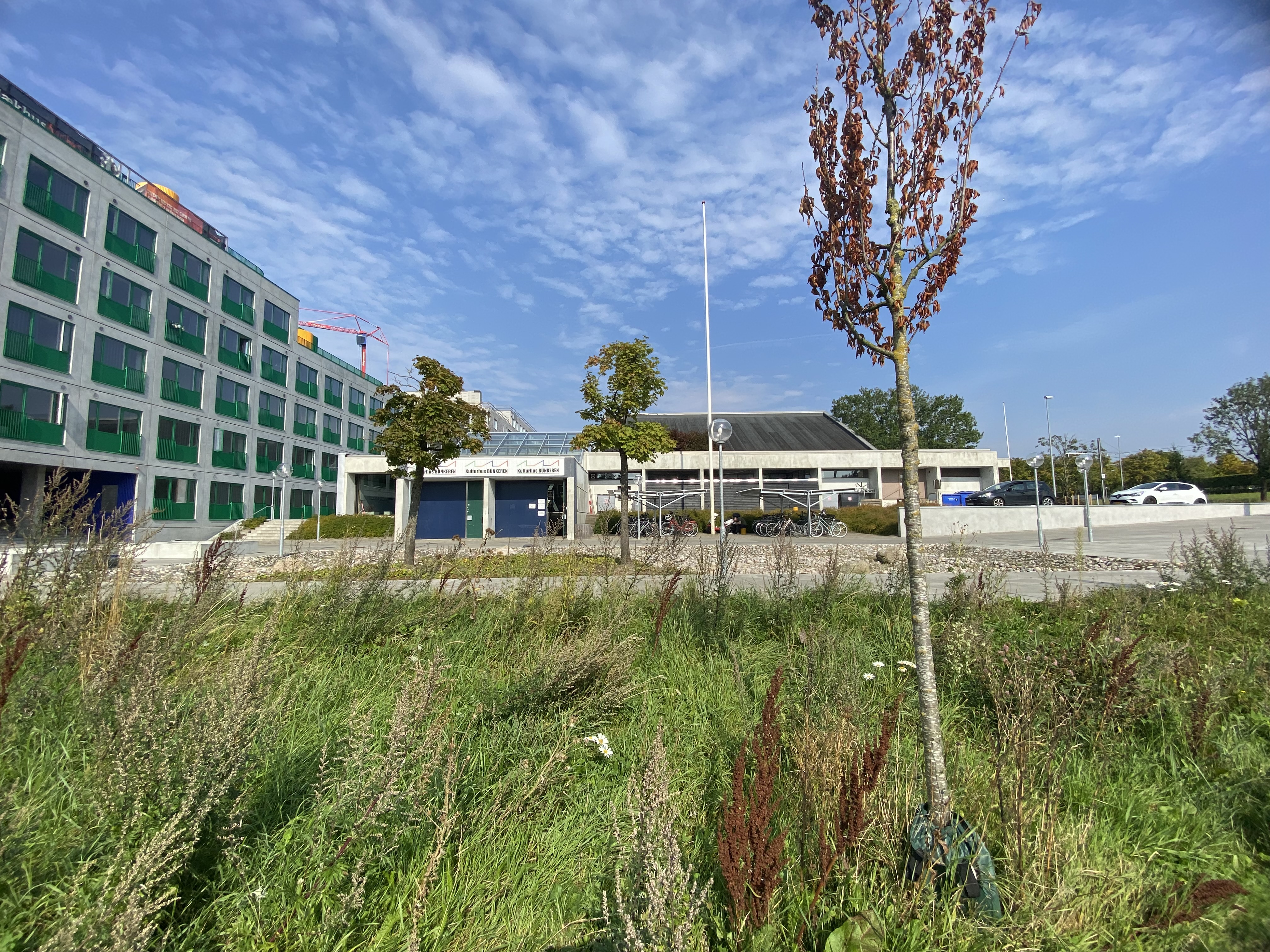 Åbning af Vestereng Skulptursti