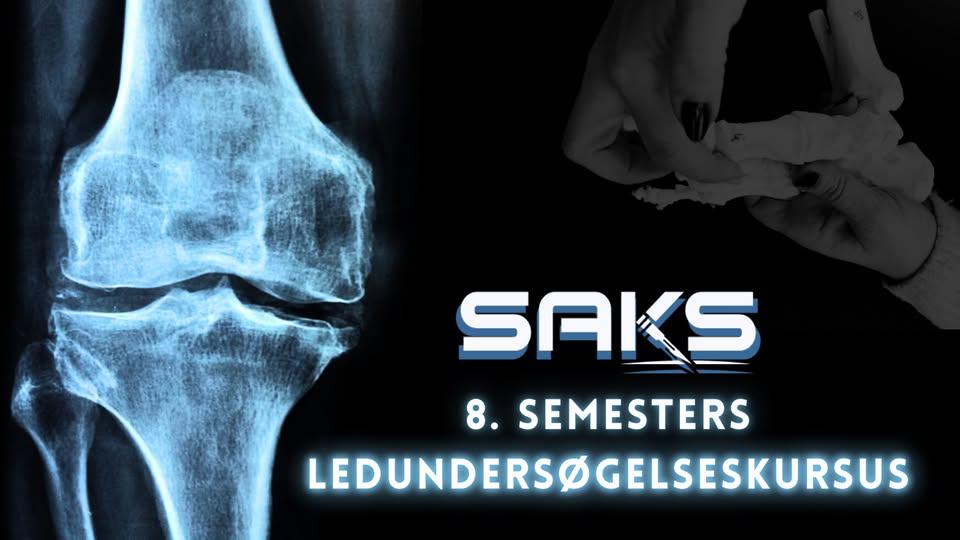 Ledundersøgelseskursus (8.semester)