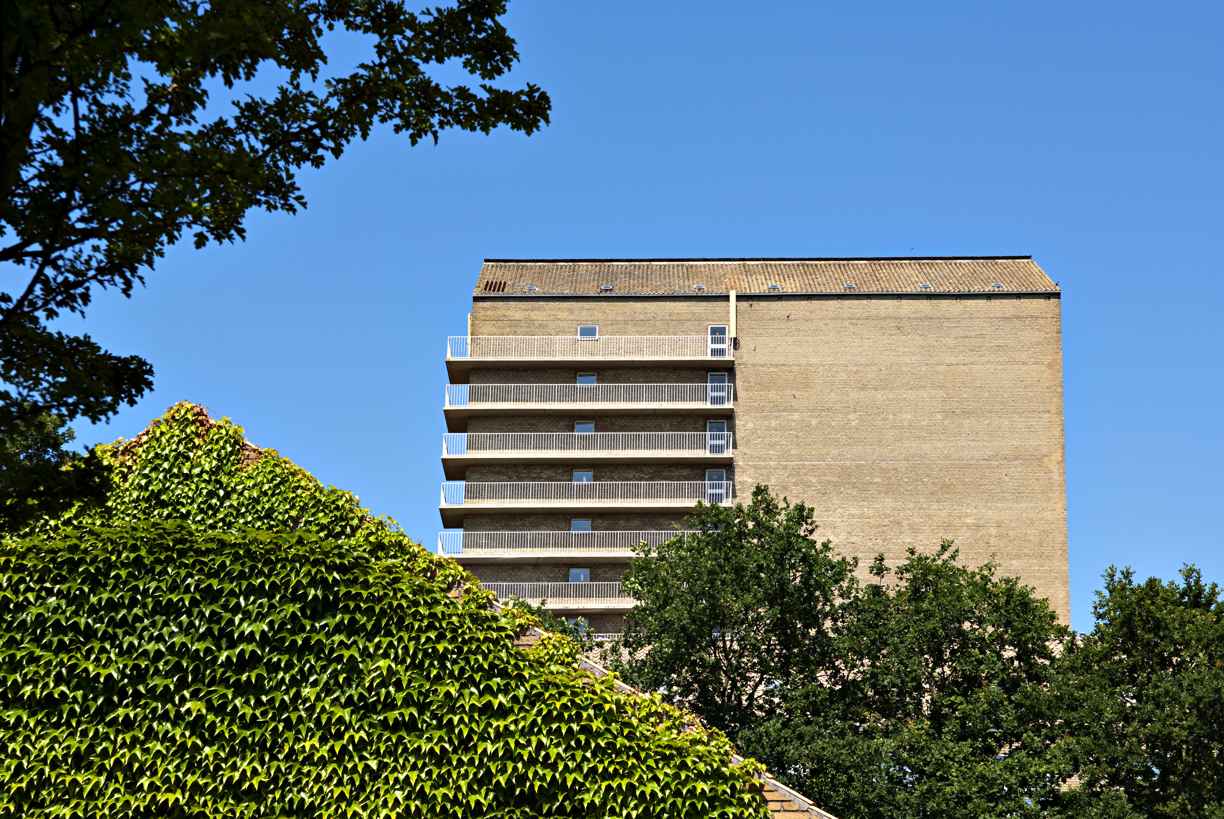 Aarhus Festuge på Det Kgl. Bibliotek: Se, hvad du kan opleve på biblioteket under festugen